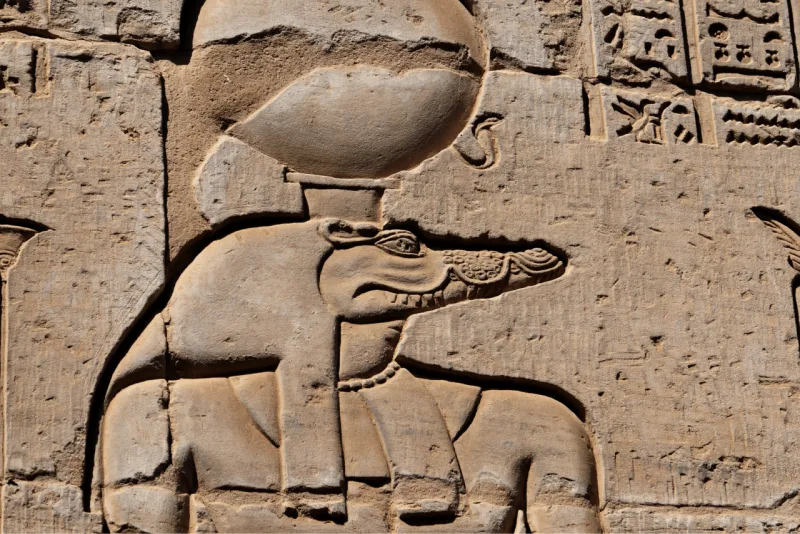 Exploring Kom Ombo Temple on 11-day Classic Trips along the Nile